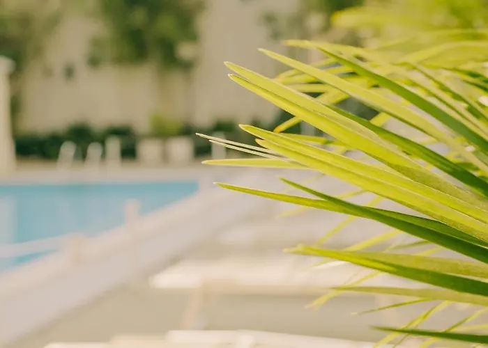 بيفرلي فندق 3*